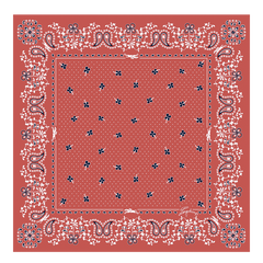 French Bandana Silk scarf 50
